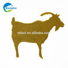 China supplier Feed Yeast powder 60% for animal feed additives